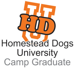 Homestead Dogs University Camp Graduate