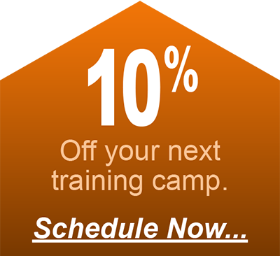 10 per cent off dog and puppy training camp classes coupon