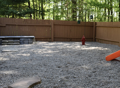 The outdoor play area for a dog and puppy boarding kennel