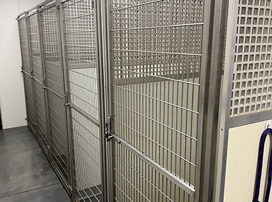 Dog boarding kennels with metal doors.