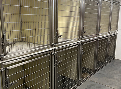 Dog boarding kennels with metal doors.